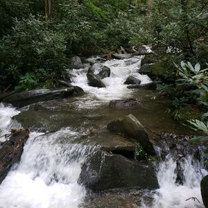 Meet your Posher, Ed